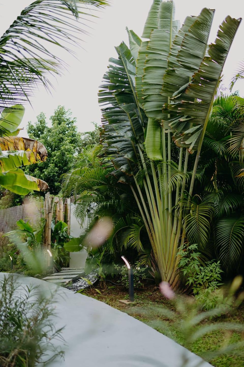 Les Villas Mandju Villa in Leeward Islands
