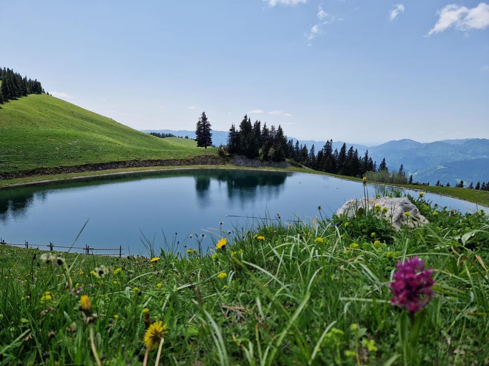 Apartment MOUNTAIN BLOOM Golte Apartment in Slovenia