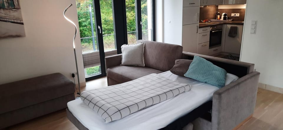 Living room, Bedroom