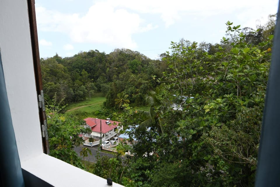 Garden view, Street view
