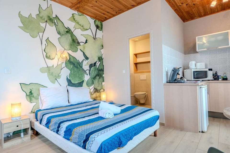 GEWURZTRAMINER - Studio au pied du vignoble - rénové récemment - parking gratuit Apartment in Grand Est