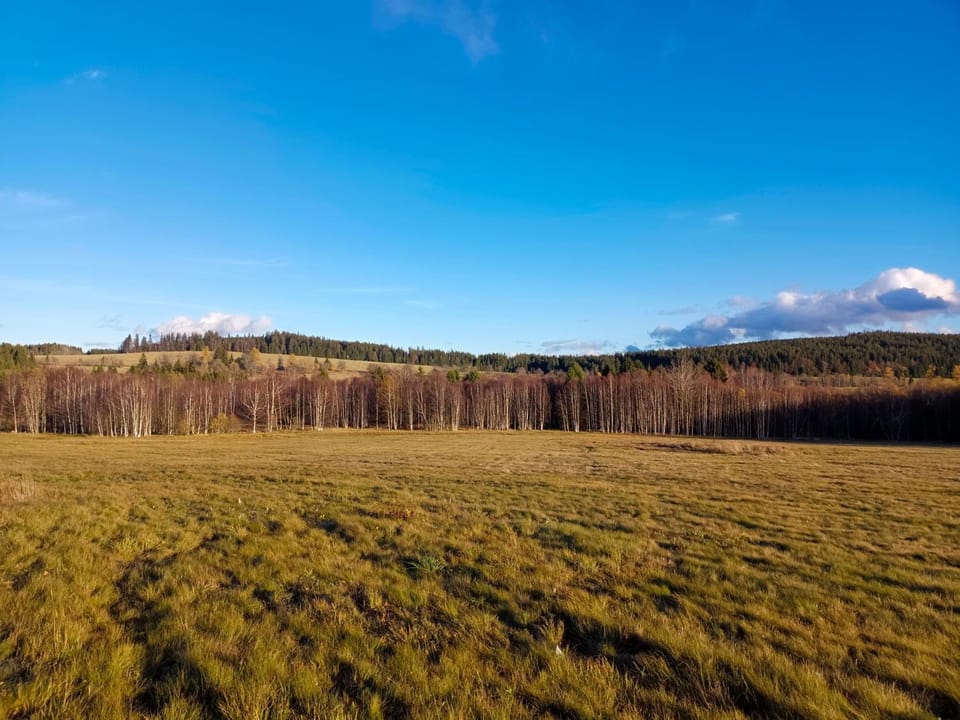 Natural landscape