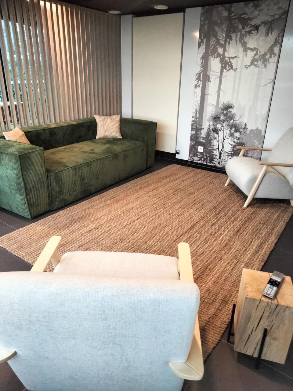 Communal lounge/ TV room