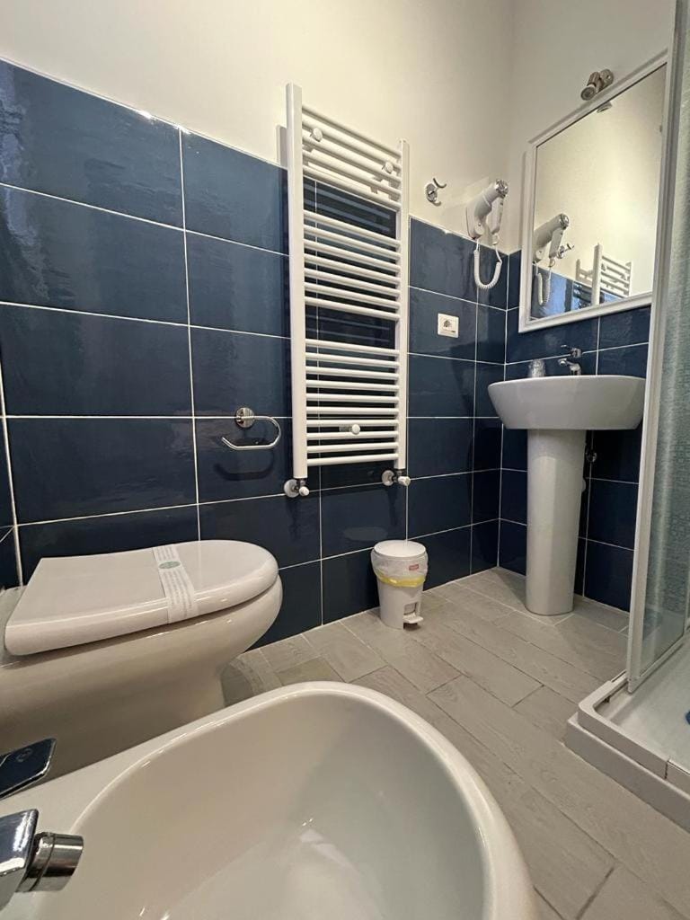 Shower, Toilet, Bathroom, bidet