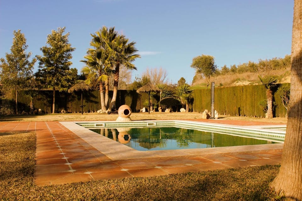 Garden, Swimming pool, Swimming pool