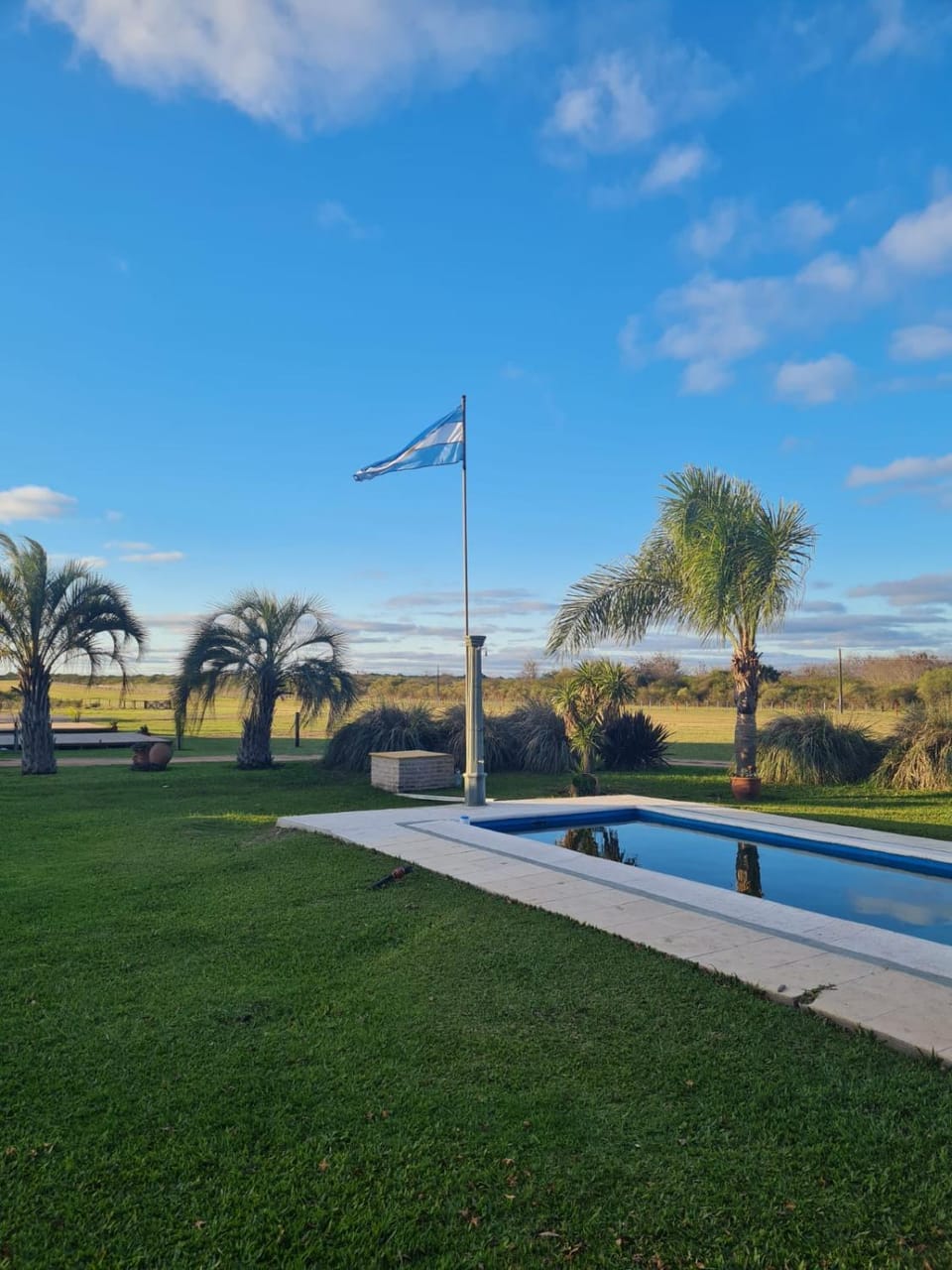 Garden, Swimming pool
