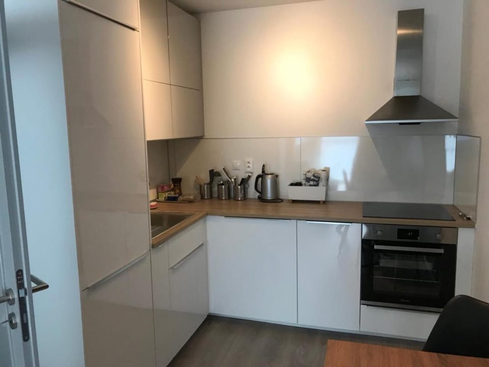 Kitchen or kitchenette, dishwasher