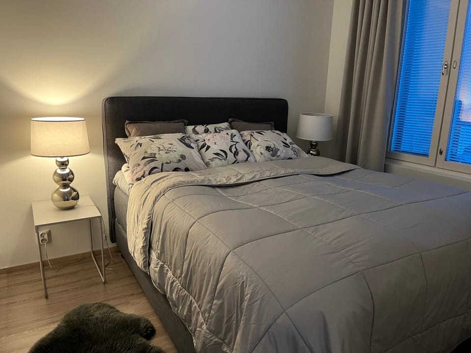 Levi, Tunturisaukko, ski-inn chalet Apartment in Lapland