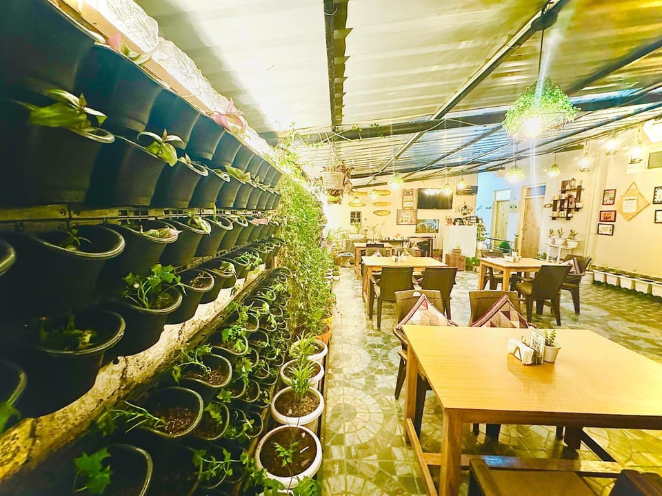 Seating area, Dining area, Garden view