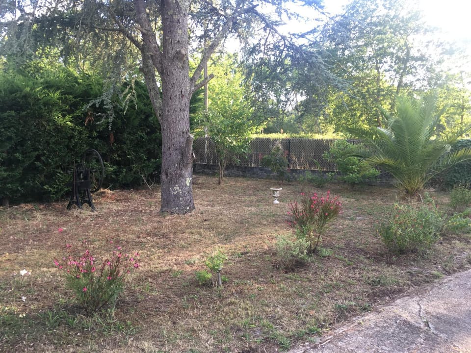 Garden, Garden view