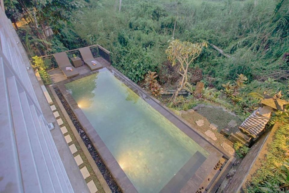 Pool view, Swimming pool