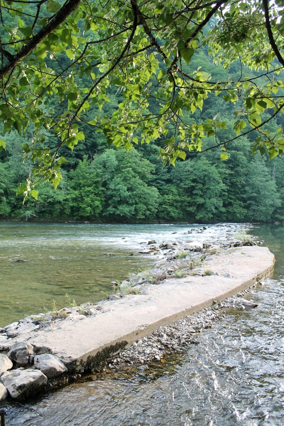 Natural landscape