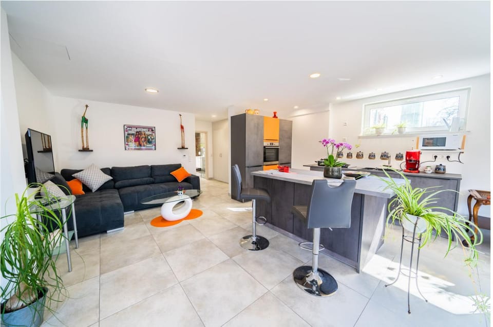 Kitchen or kitchenette, Living room, Dining area