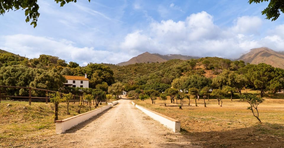 Finca Santa Teresa, Casa Grande House in Costa del Sol
