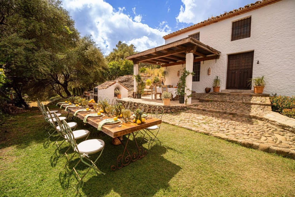 Patio, Day, Garden, Seating area, Dining area, Garden view, sunbed