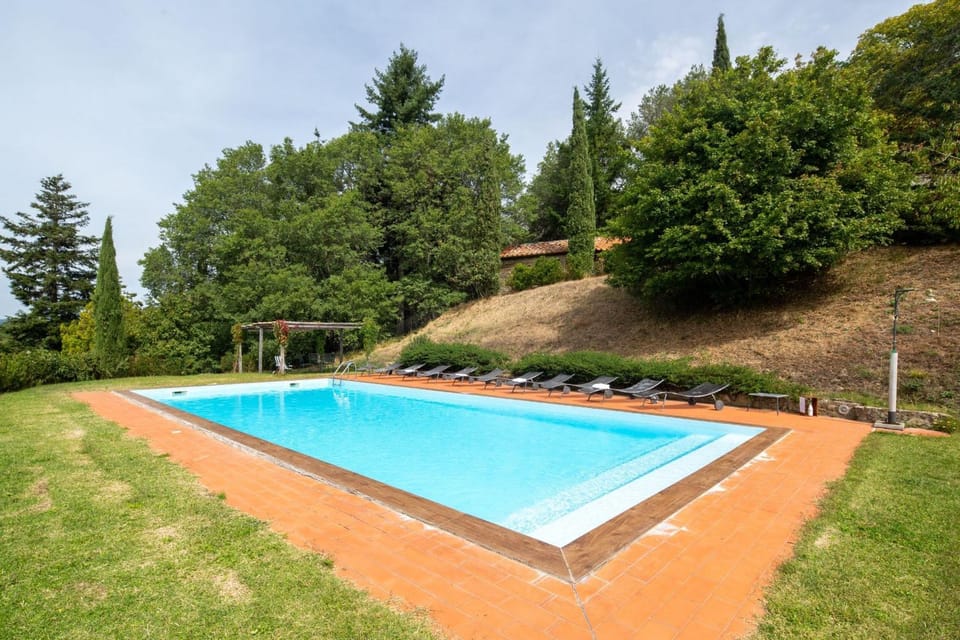 Garden, Swimming pool