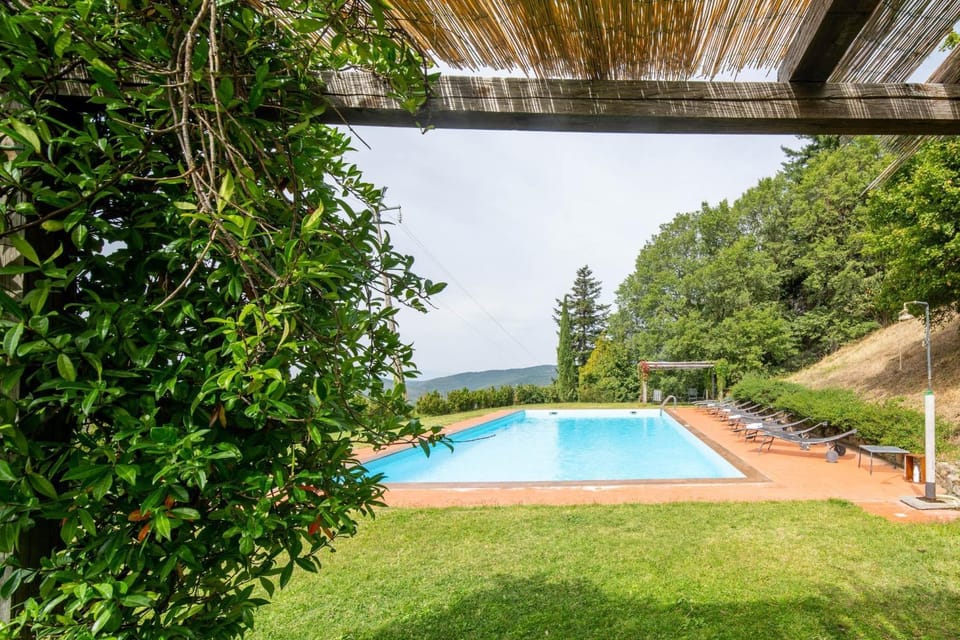 Garden, Swimming pool