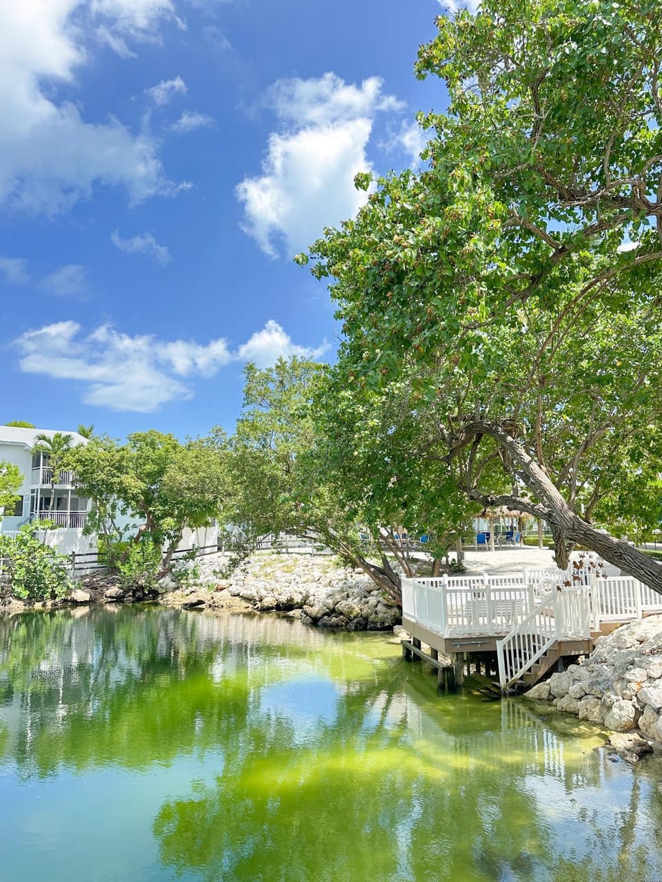 Villa Valbuena Azul Escape 2 Kings Key Largo Pickleball Tennis Pool Lagoon Apartment in Key Largo