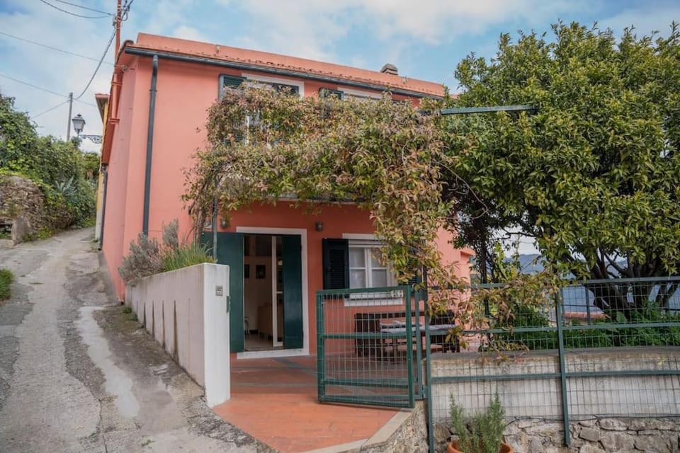 Property building, Patio, Facade/entrance