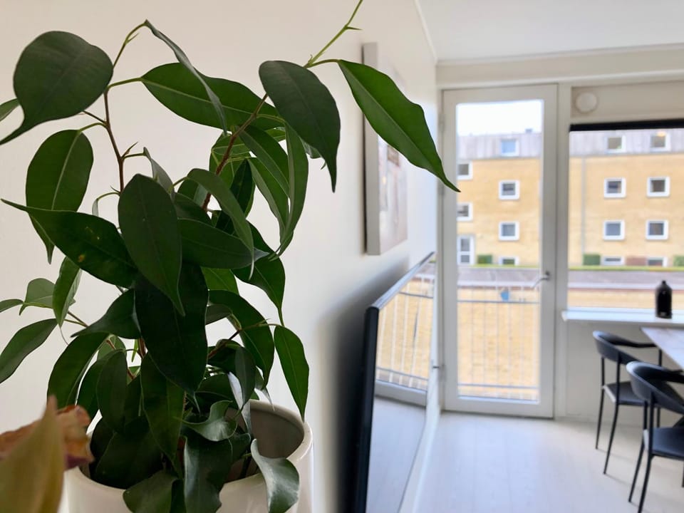 Private Renovated Apartment Apartment in Central Denmark Region