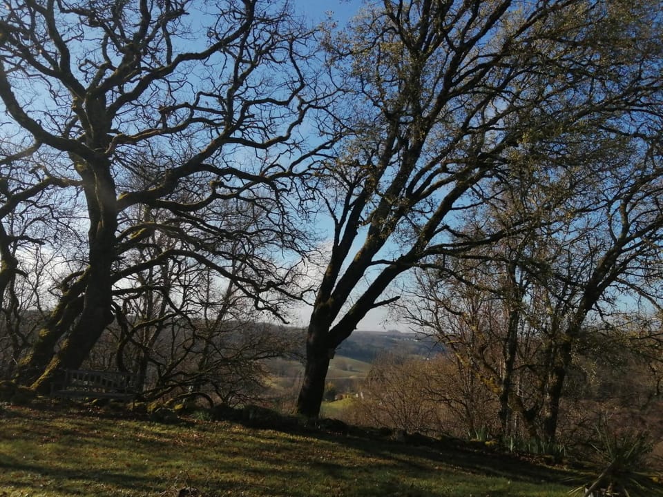 Natural landscape