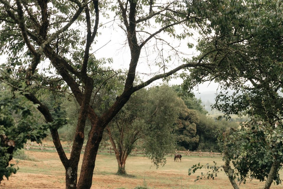 Casa de la Pradera House in Galicia