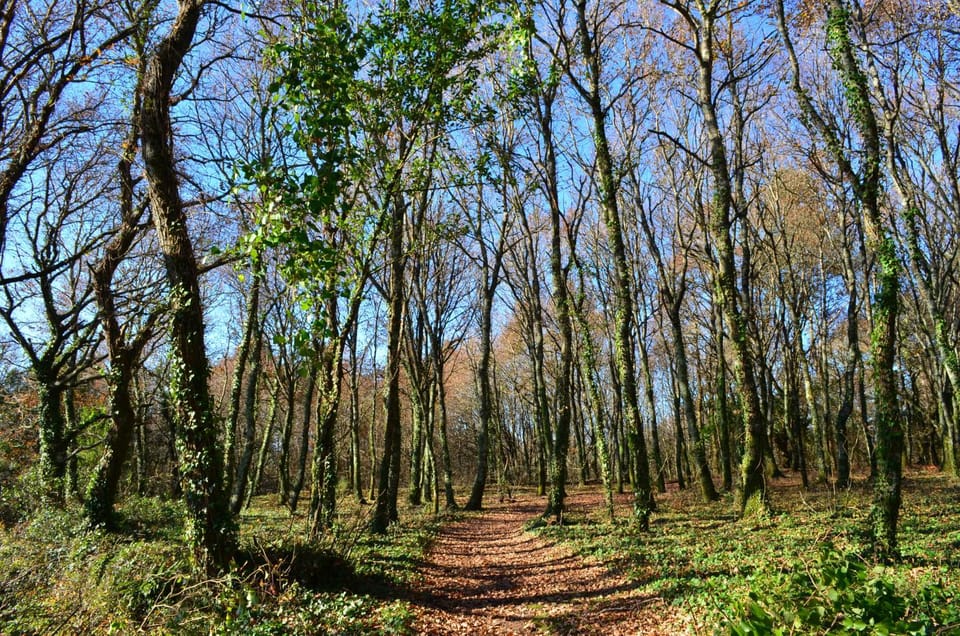 Casa de la Pradera House in Galicia