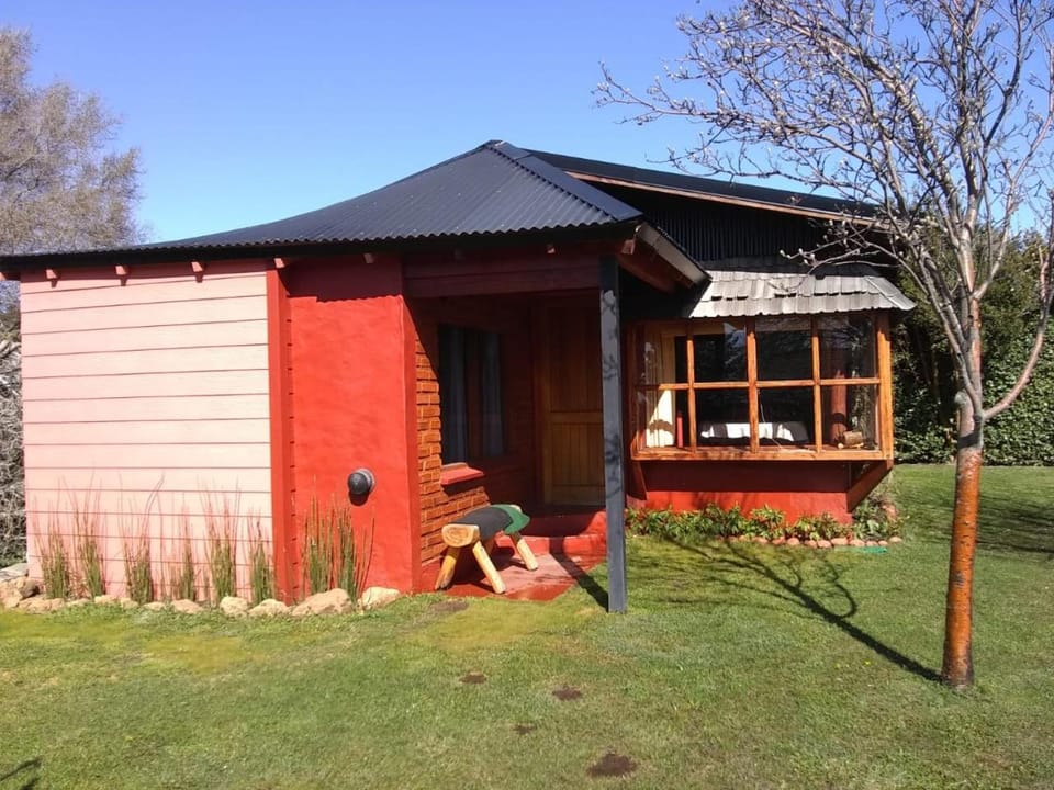 Property building, Day, Garden, Garden view