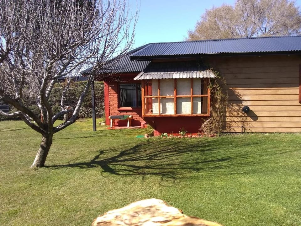 Property building, Day, Garden, Garden view