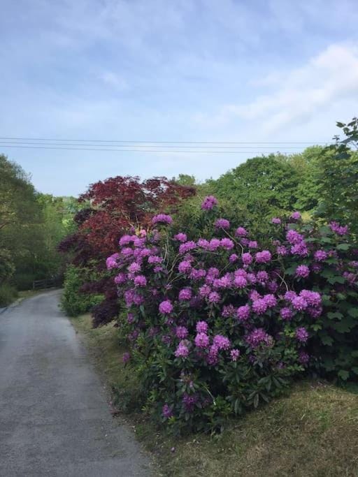 Drovers Cottage House in West Devon District
