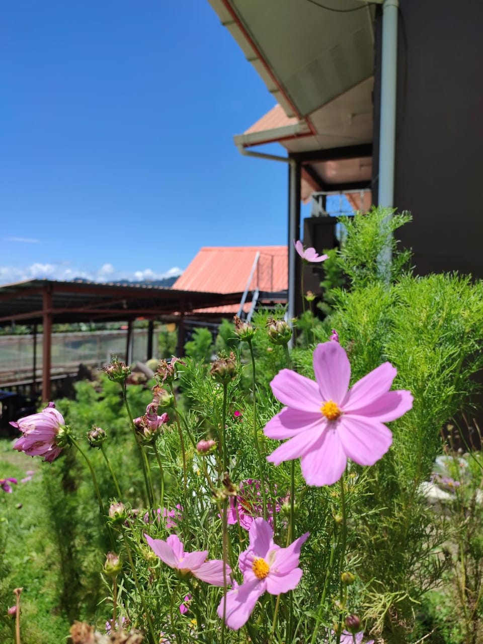 Sinurambi 2 Vacation rental in Sabah