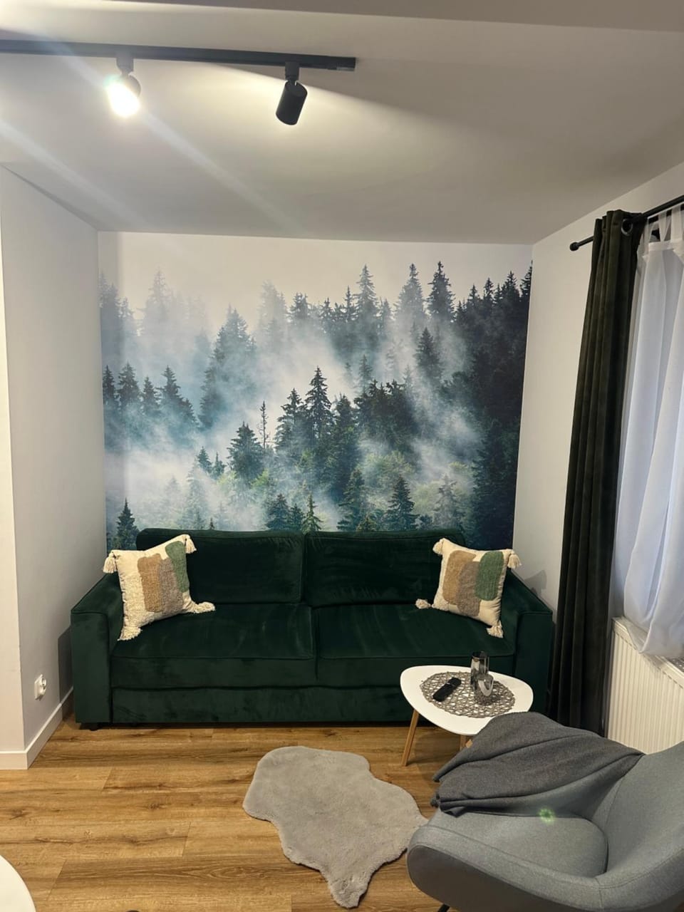 Apartament Koko Białka Tatrzańska Apartment in Lesser Poland Voivodeship