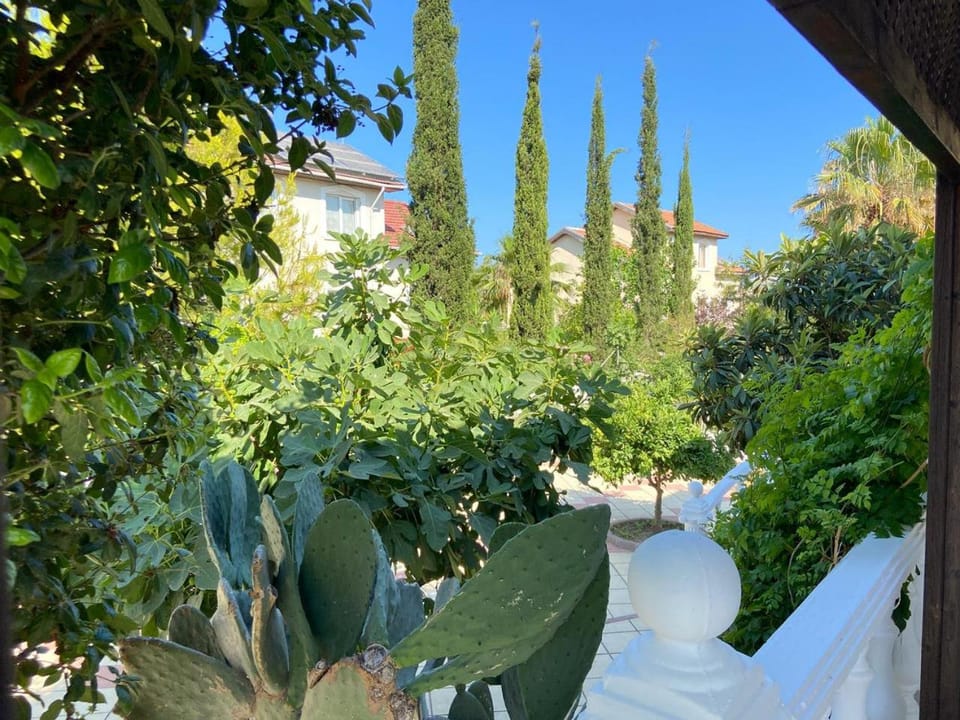 Natural landscape, Garden view
