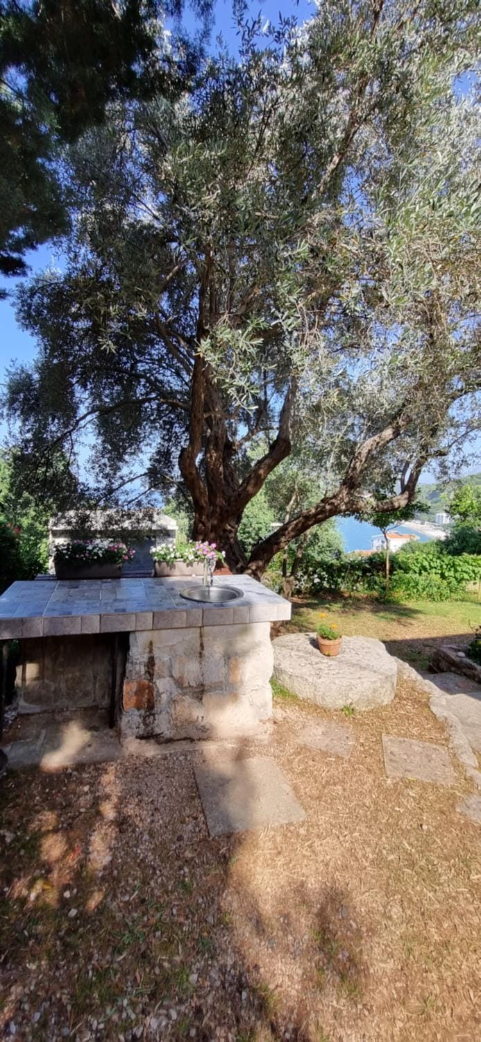Apartment in Oak forest Vacation rental in Montenegro
