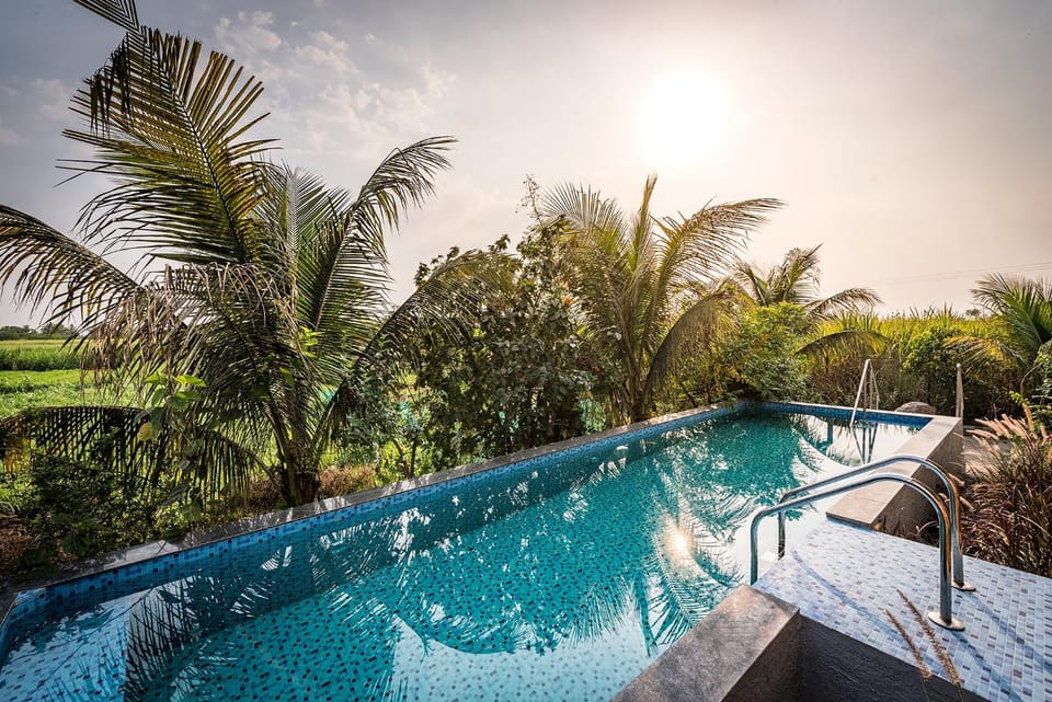 Day, Garden, View (from property/room), Pool view, Swimming pool, Sunrise, towels
