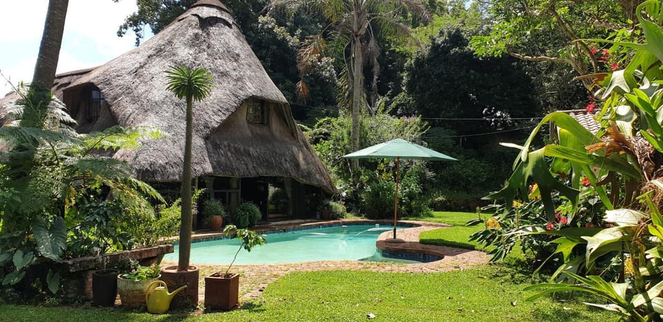 Garden, Garden view, Pool view, Swimming pool