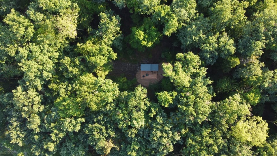 Natural landscape, Bird's eye view, Garden view
