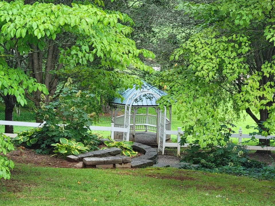 Spring, Natural landscape, Garden