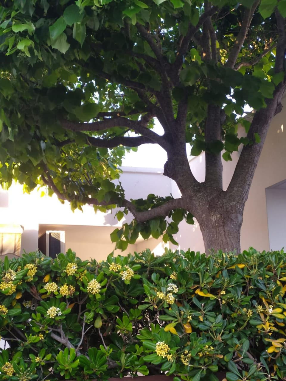 Villette Mare Salento House in Apulia