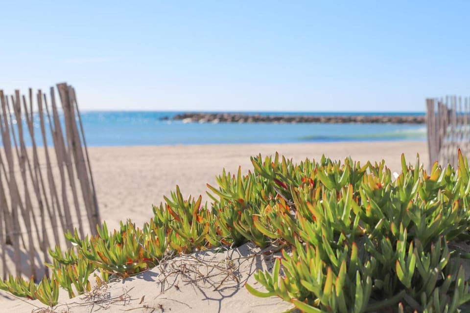Nearby landmark, Off site, Day, Natural landscape, Beach