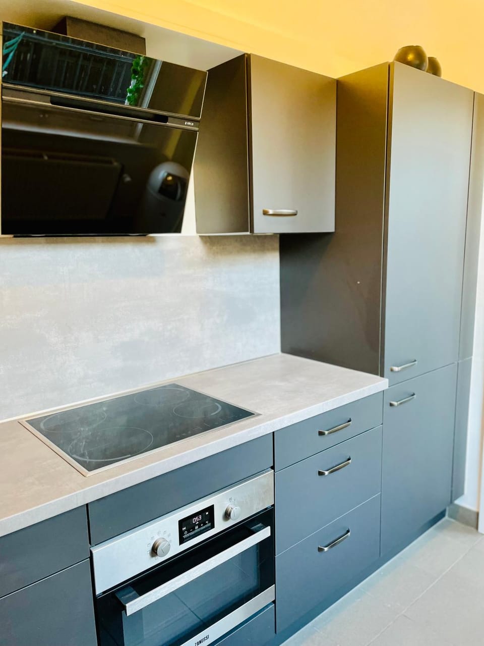 Coffee/tea facilities, Kitchen or kitchenette, dishwasher, minibar, oven, pet friendly, kitchen, kitchen