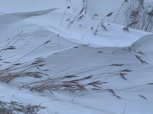 Gulfhof Polder72 Polder72 10 Hicko Apartment in Esens