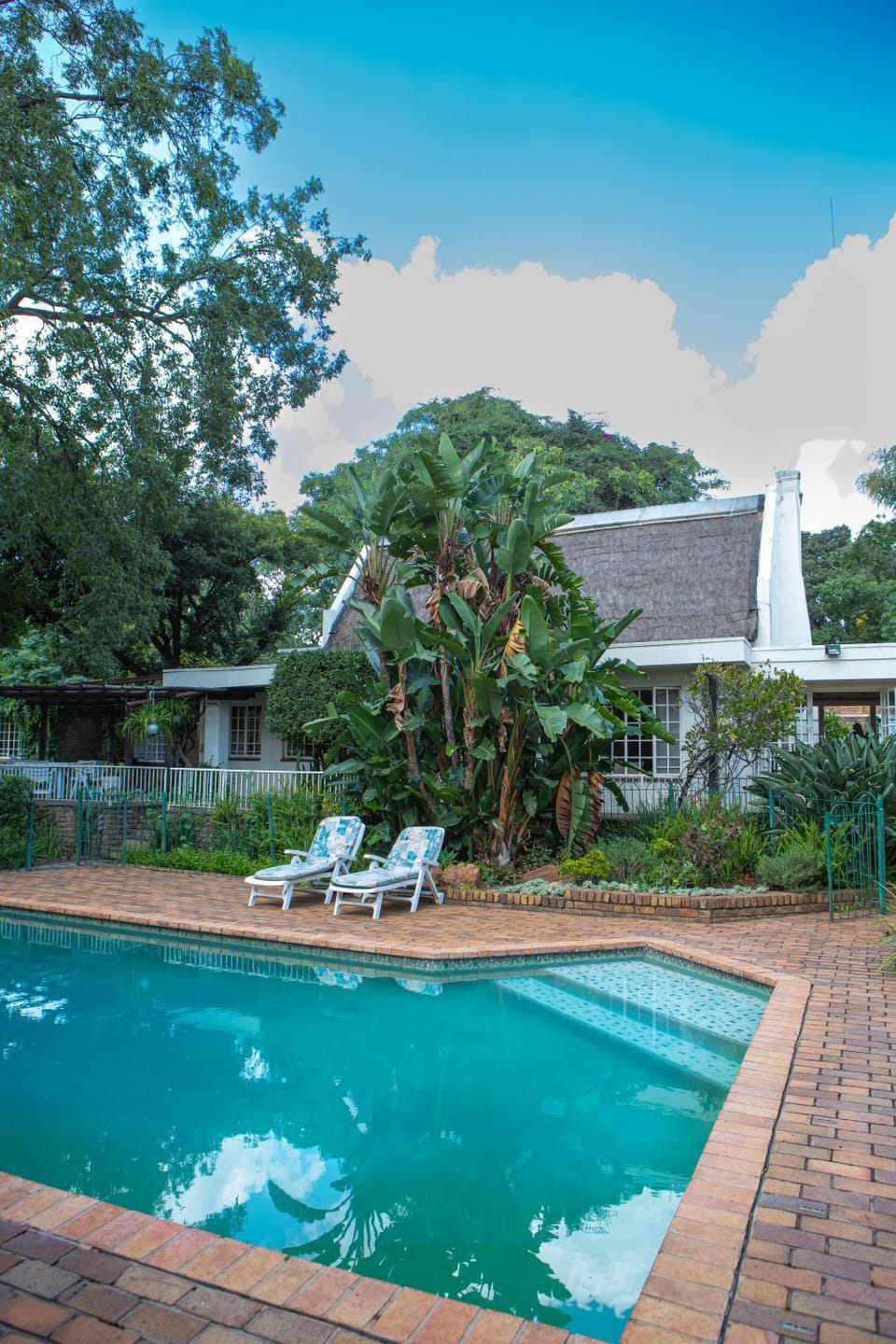 Garden, Swimming pool, Swimming pool, sunbed