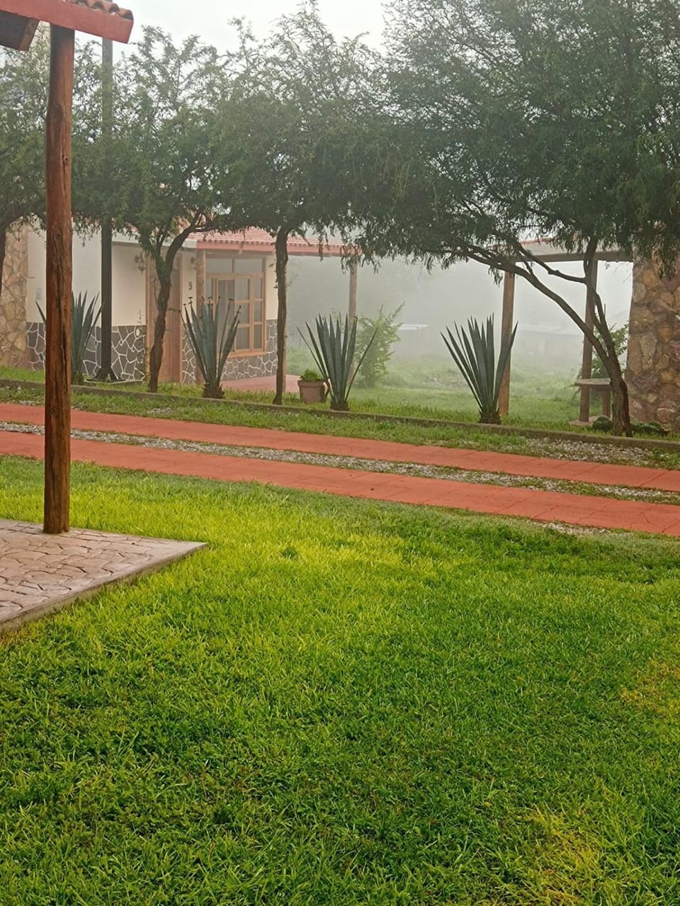 Cabañas Los Olivos Nature lodge in State of Querétaro
