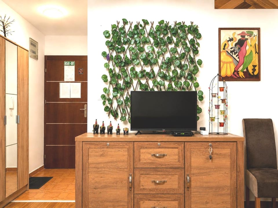 San Apartment in Serbia