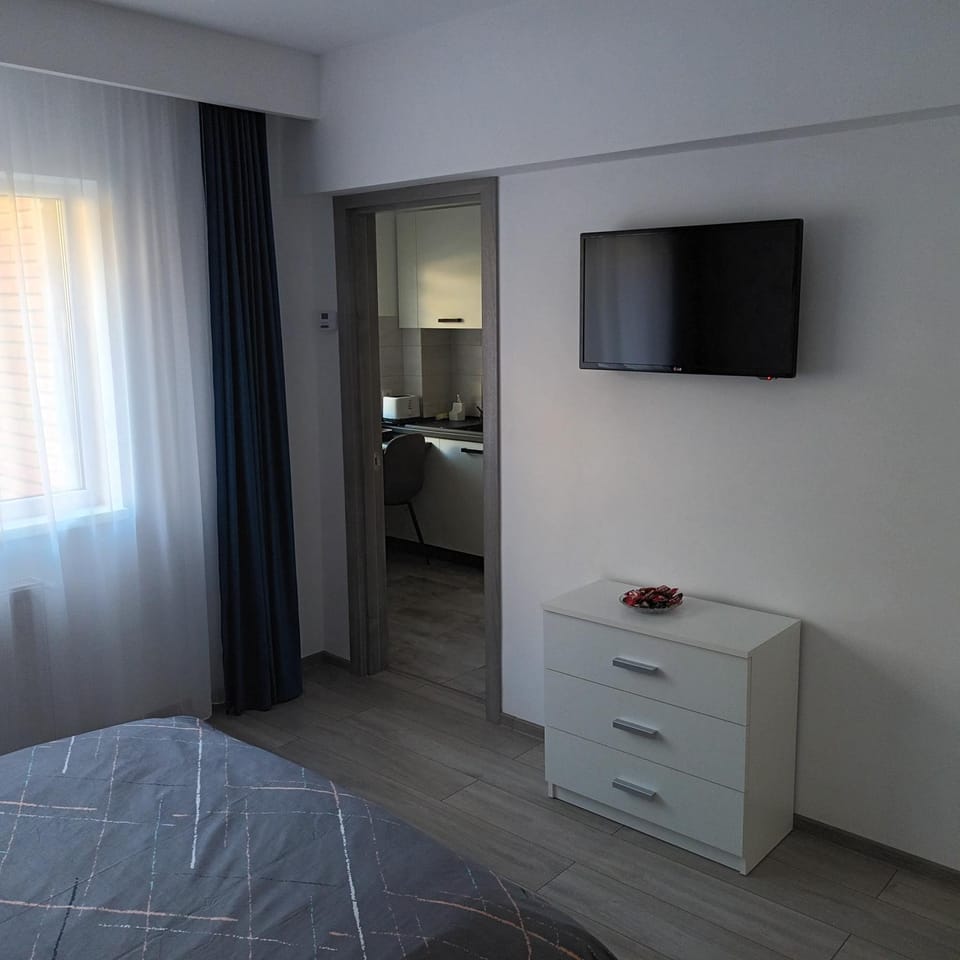 Studio Acasă Apartment in Sibiu