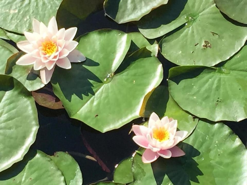 Lieblingsplatzl - Das Apartmenthaus Apartment in Villach