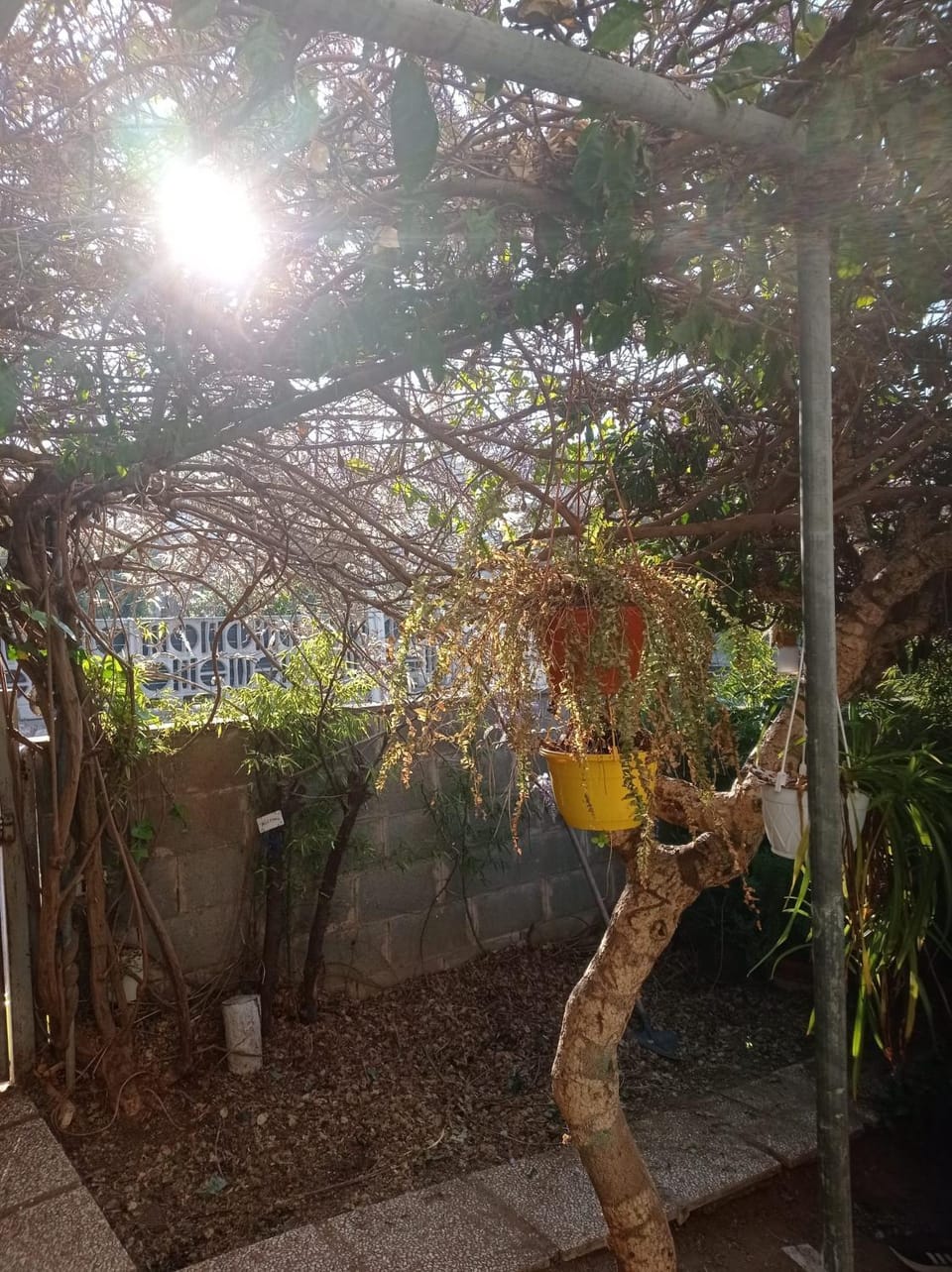 Villa Nerina Alloggio Turistico Anzio Apartment in Anzio