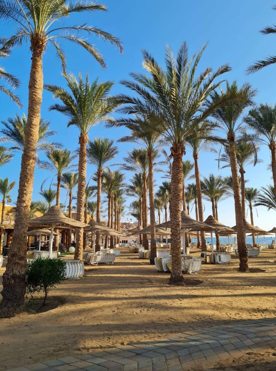 Natural landscape, Beach, Sea view