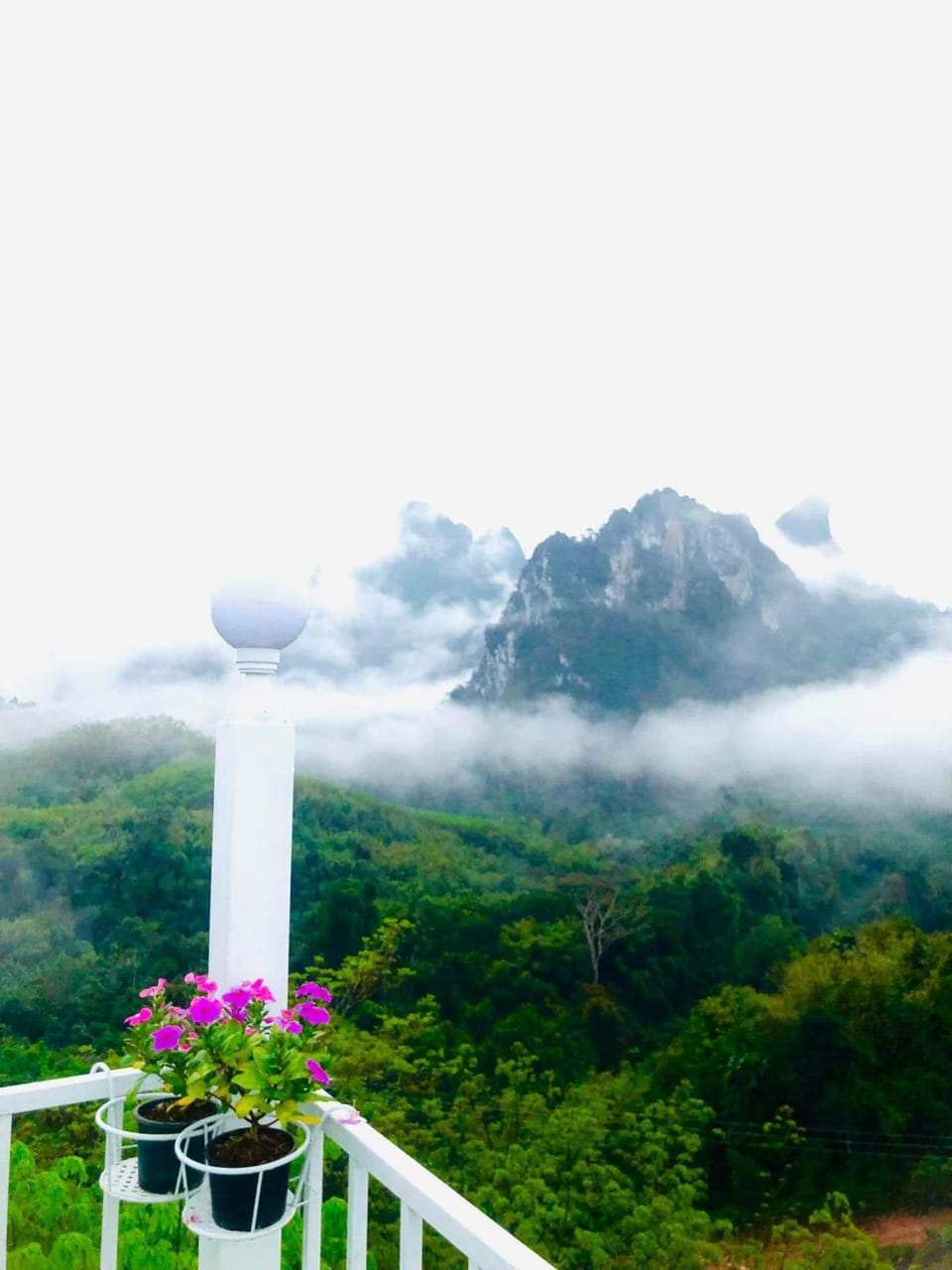 Khao Sok 99 Camp and Cafe House in Khlong Sok